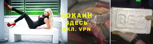 мяу мяу мука Магас