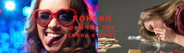 мдпв Вязники