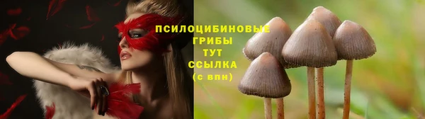 мяу мяу мука Магас