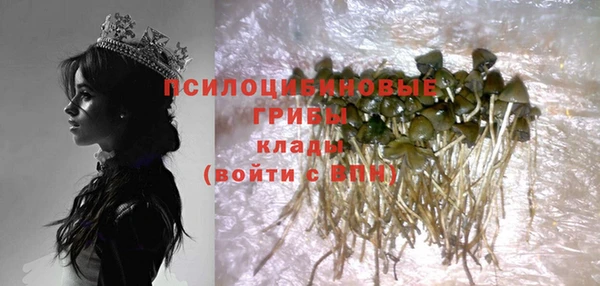 мдпв Вязники