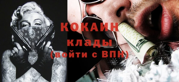 мдпв Вязники