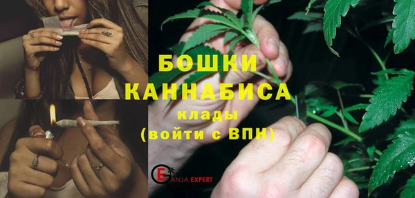 мдпв Вязники