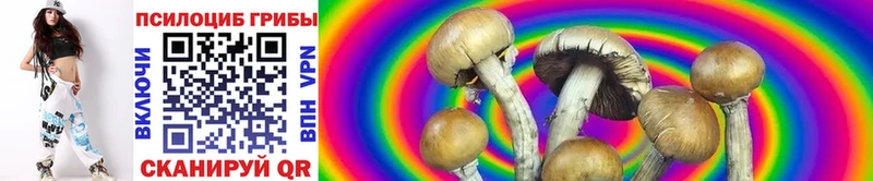 OMG ССЫЛКА  Новохопёрск  Галлюциногенные грибы прущие грибы  где купить наркотик 